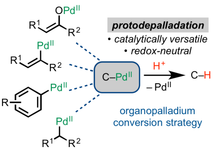 protodepalladation